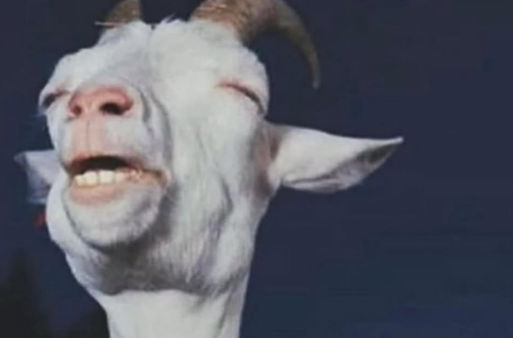 Relieved Goat Meme Template | Insider Memes | Viral Meme Generator