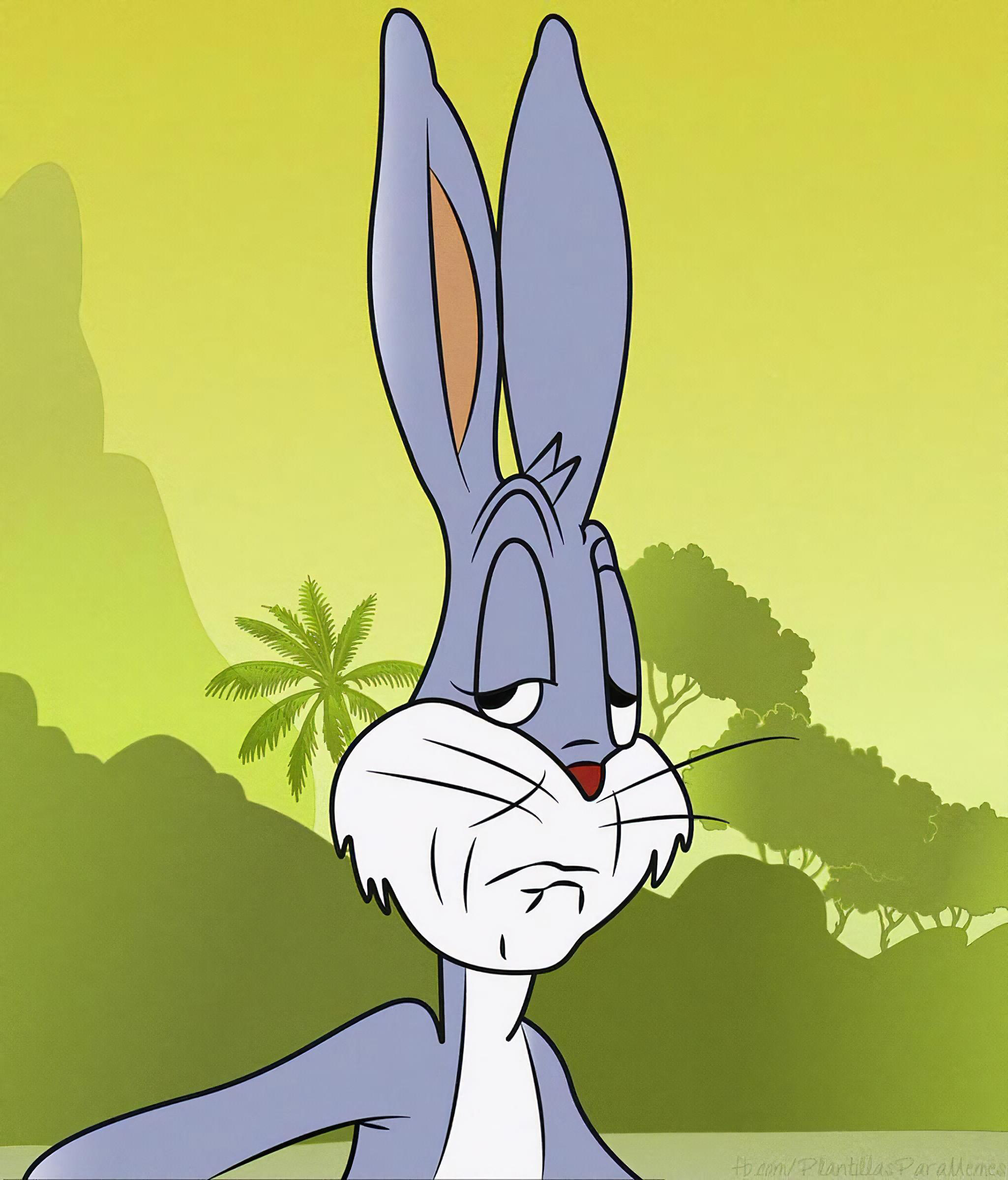 Frowning bugs contemptful bugs bunny the bunny does not approve Meme ...