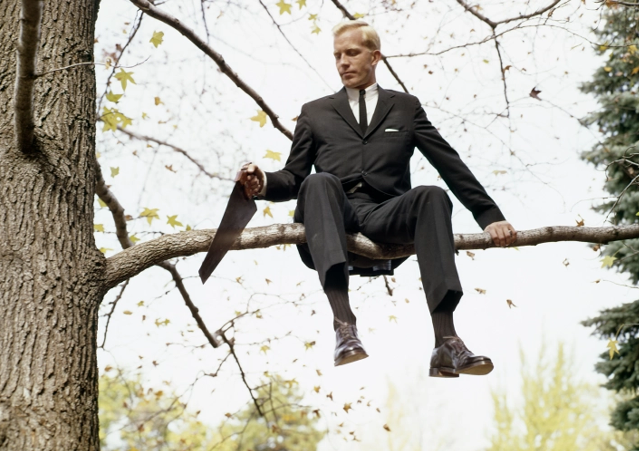 Man sawing branch sitting on Meme Template | Insider Memes | Viral Meme ...