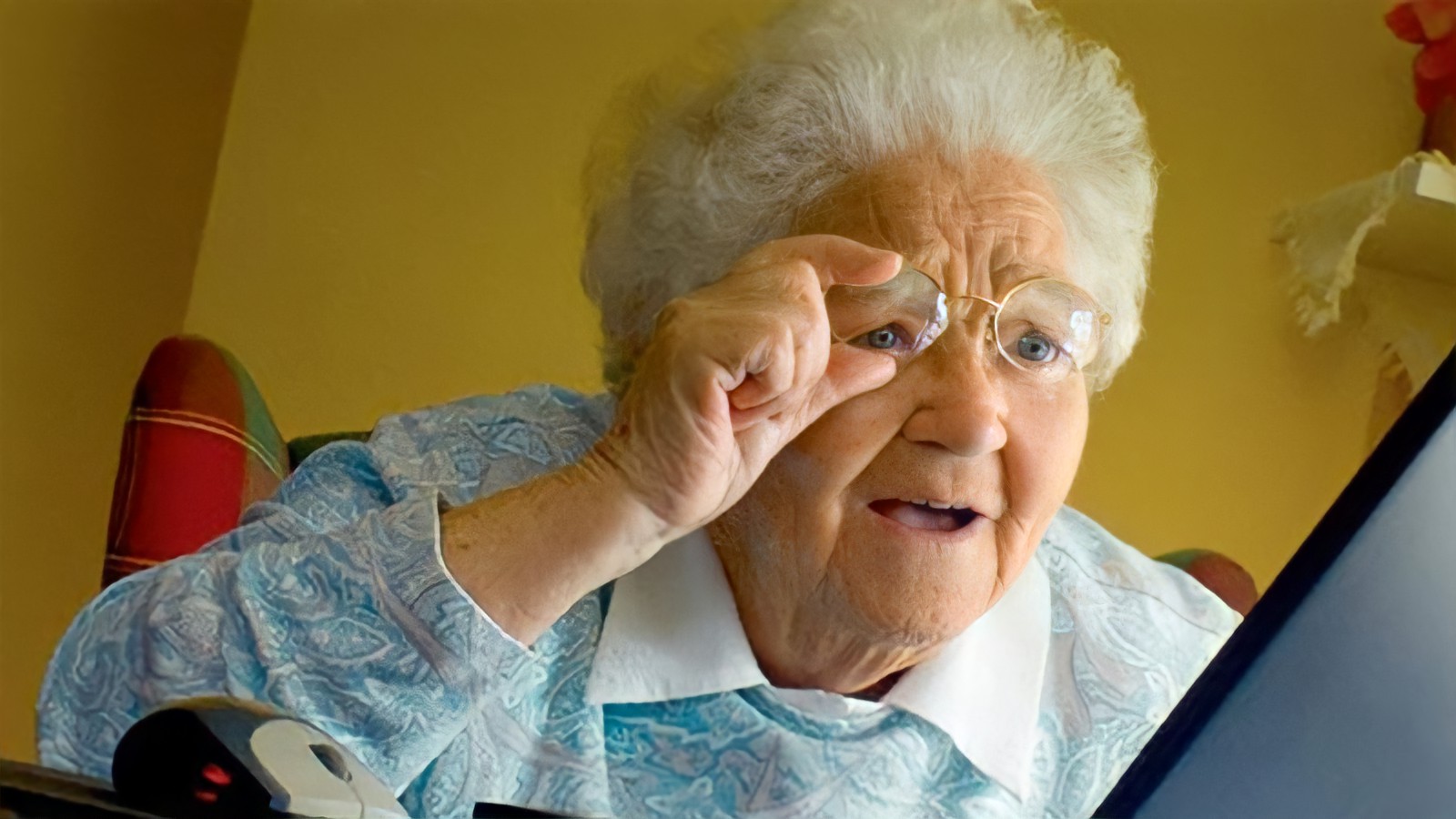 Grandma using computer