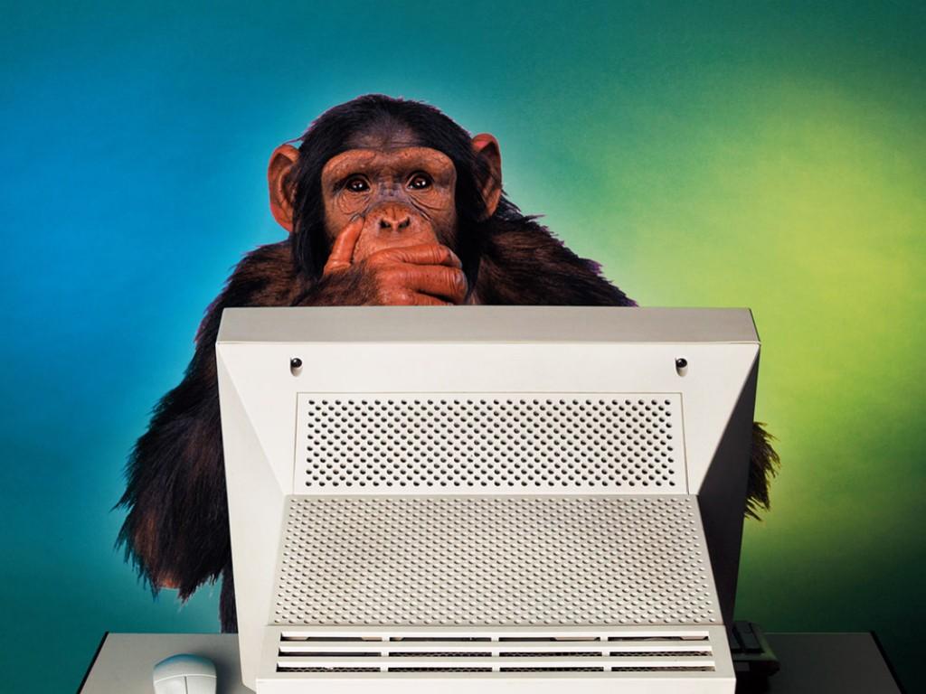 Monkey covering mouth computer